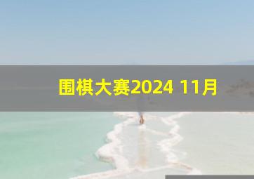 围棋大赛2024 11月